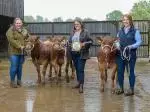Calf class photo